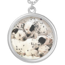 Dalmatian valphalsband