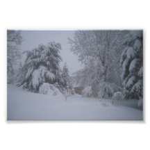 Dämpade Snowfall Fotografiskt Tryck