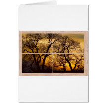 Dancing_Trees_Sunset_Picture_Window_Frame Photo_Ar Hälsnings Kort
