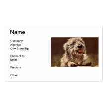Dandie Dinmont Terriervisitkort
