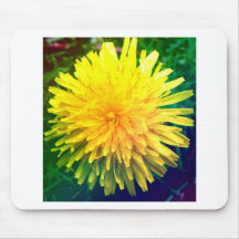 Dandilion Musmattor