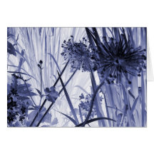 dandyblue - notecard hälsnings kort