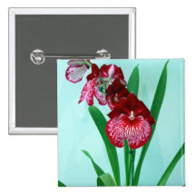DansdamOrchids Pins