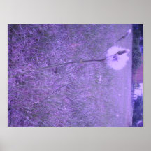 Dansmaskros Print