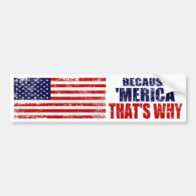 DÄRFÖR ATT 'MERICA SOM ÄR DÄRFÖR bildekalet