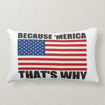 DÄRFÖR ATT 'MERICA SOM ÄR DÄRFÖR US-flaggasoffan k