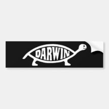 Darwin sköldpadda-/sköldpaddabildekal