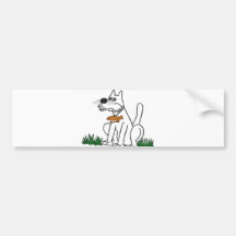 Darwin's Cat Bumper Sticker