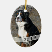 Daterad oval prydnad för hundfotojul julgranskulor