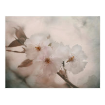 Dawn Postkarte