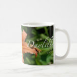 Daylilly blommor muggar