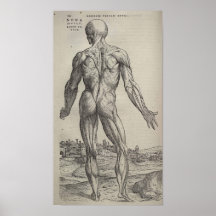 De Humani Corporis Affischer