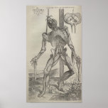 De Humani Corporis Affisch