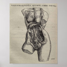 De Humani Corporis Affischer