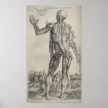 De Humani Corporis Posters