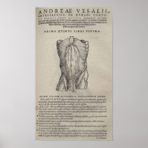 De Humani Corporis Affischer