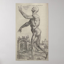 De Humani Corporis Print