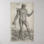 De Humani Corpris Print