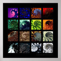 De spiral variationerna print