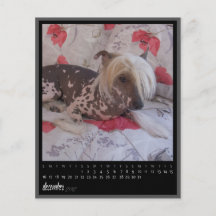 december 2012 kalender full färg flygblad