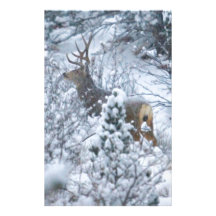 Deer in Snow Customized Stationery