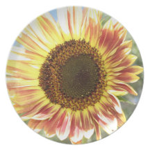 DEKORATIVT PLÄTERA DINNER PLATES
