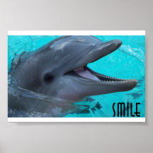Dela en delfin leende print