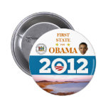 DELAWARE FÖR OBAMA 2012 politiska pinback knäppas Pins