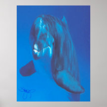 Delfin Affischer