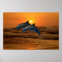 Delfin på solnedgången affischer