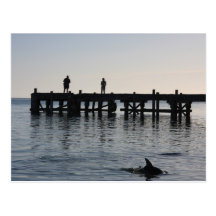 Delfin som matar på apan Mia westerna Australien Vykort