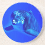 Delfin Underlägg