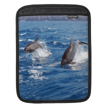 Delfinaffärsföretag Sleeves För iPads