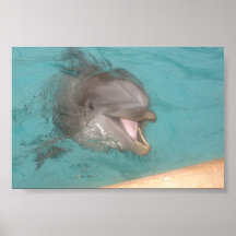Delfinaffisch