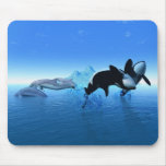 Delfiner och orcas Mousepad Musmatta