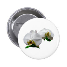 Delikat vitOrchids Pins