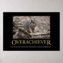 Demotivational affisch: Overachiever