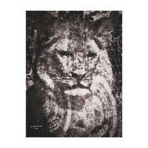 Den afrikanska lionessen sträckt kanvastryck