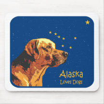 Den Alaska Labrador musen vadderar Musmatta