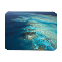 Den Arlington reven, den underbara barriärrevflott Vinyl Magnet