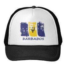 Den Bajan flagga borstar design Trucker Keps
