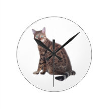 Den Bengal kattväggen tar tid på med den presenter Klockor