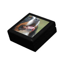 Den Berner Sennenhund hundgåvan boxas Prydnadslåda