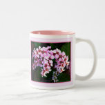 Den beställnings- rosan blomstrar kaffemuggen