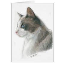 Den blått synade katten noterar kortet