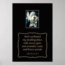 Den Camelliablomman och bibeln citerar från den Si Print