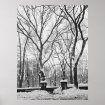 Den Central Park tunnelbanan hänrycker (den femte  Print