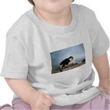 Den Chinstrap pingvinet bygga bo på T Shirts
