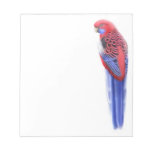 Den Crimson Rosella papegojaanteckningsblocket