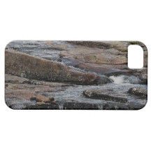 Den Dartmoor floden Avon Shipley överbryggar förso iPhone 5 Case-Mate Cases